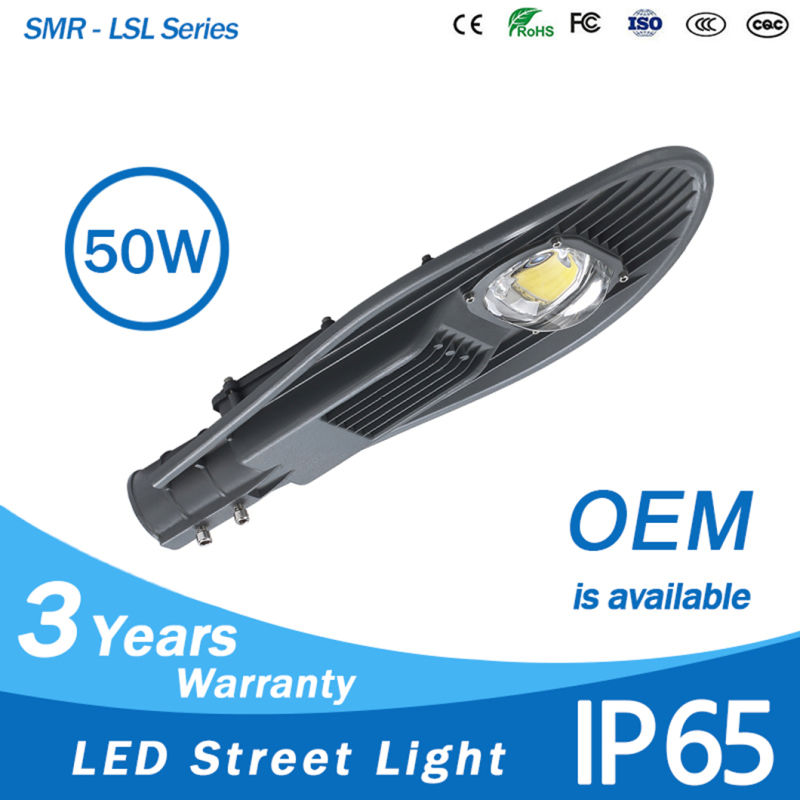 50 Watt 12 Volt LED COB Street Light