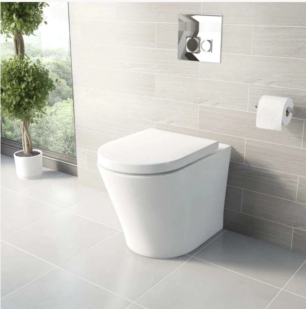 217D Floor Standing Back to Wall Toilet, Toilet Bowl, Wc