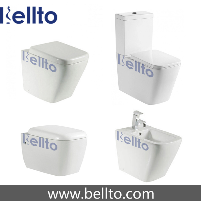 Water Closet Toilet Sanitary Ware for Bathroom Suite (S19)