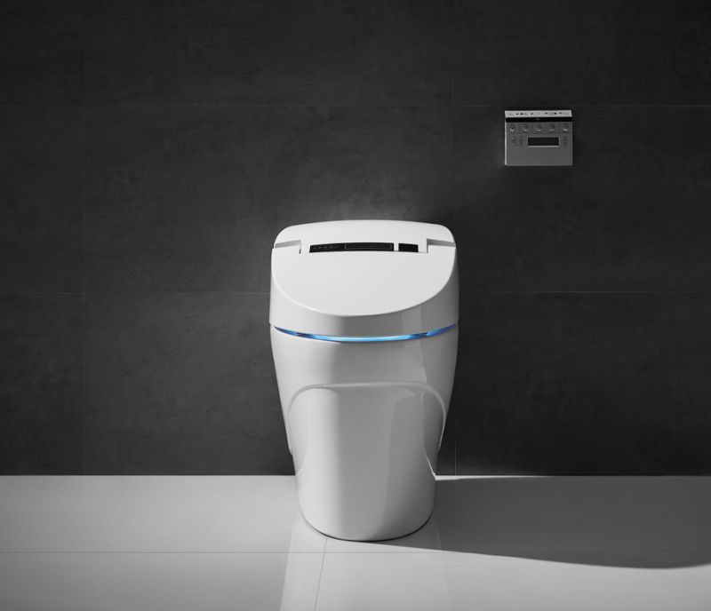 Multi-Functional Water Closet Automatic Turbo Flush Intelligent Wc Toilet