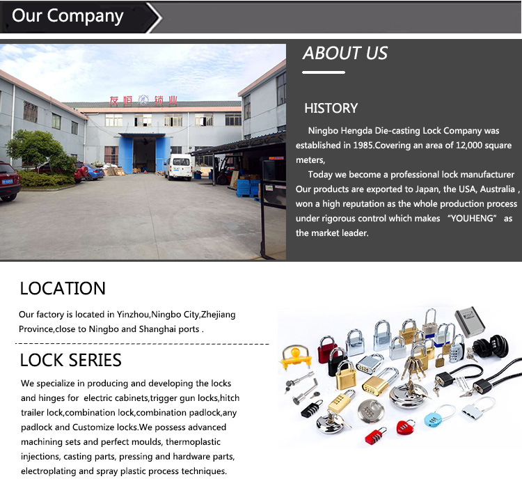 Electrical Control Cabinet Door Panel Locks with Key (MS732)