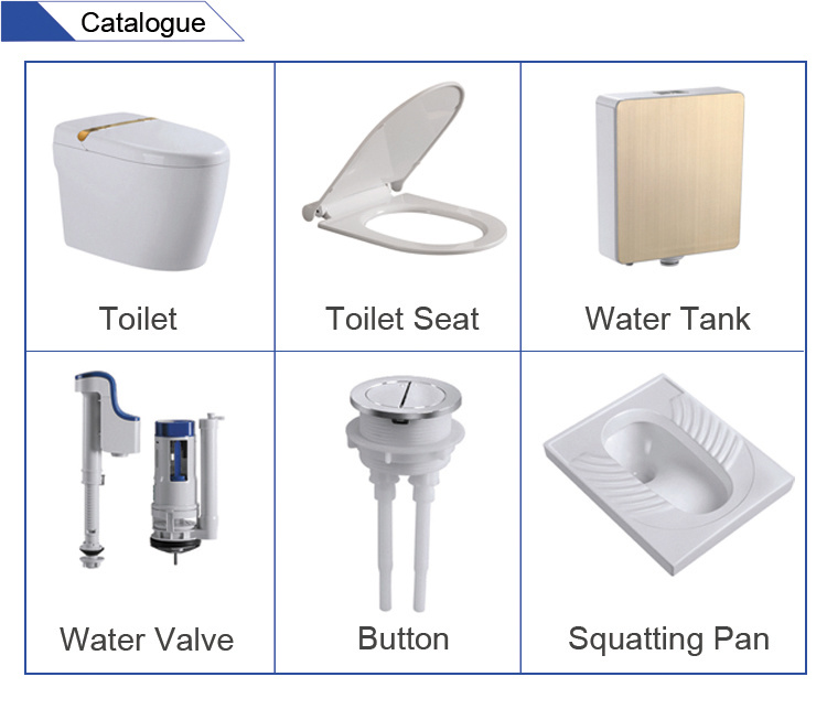 Innovative Economic PP New Design Toilet