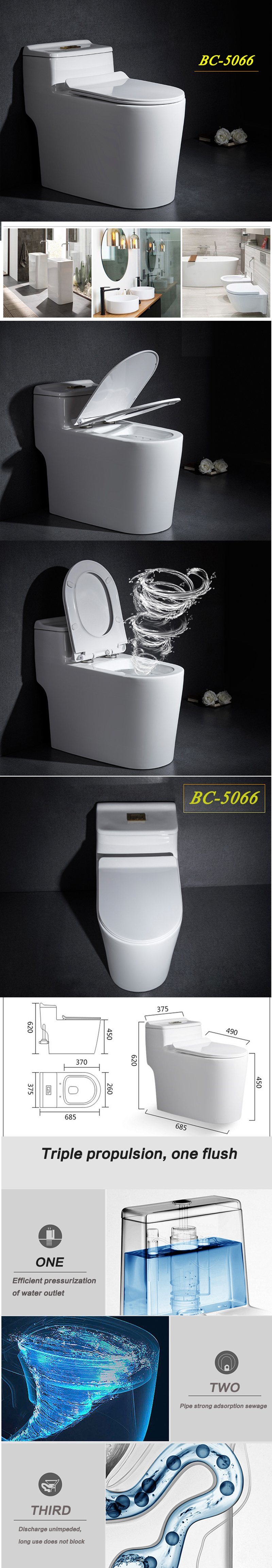 Villa Project Design of Wc Toilet Siphonic Toilet 3/6 L Saving Water Closet Bc-5066