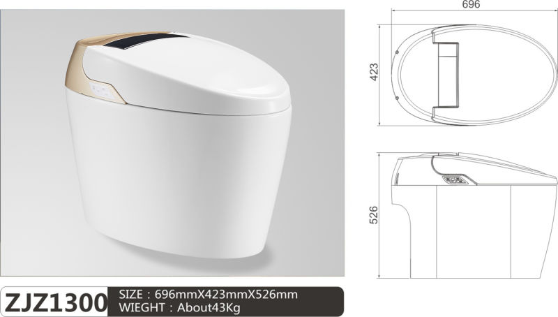 Custom Logo Wc Commode Electrical Heating Intelligent Wc Toilet