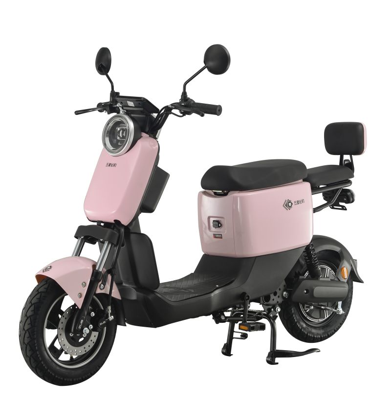 Electric Bike Can Use Lead-Acid Battery and Lithium Battery