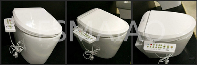 Sanitary Ware Automatic Smart Electronic Bidet Toilet Seat (V510)