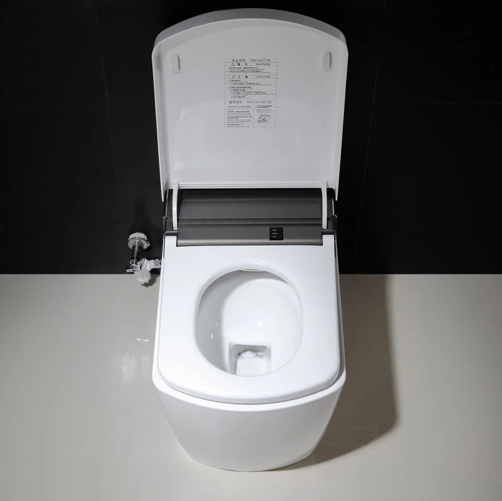 Standard Export Automatic Flush Toilet Bidet All in One Piece Smart Toliet