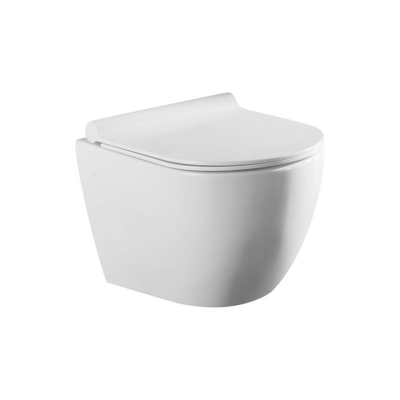 Washdown Wall-Hung Wc Toilet with UF Toilet Seat