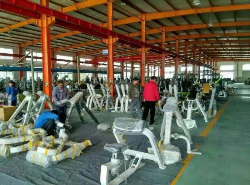 Commercial Fitness Equipment for Gymnasium (AXD-740 rear kick)