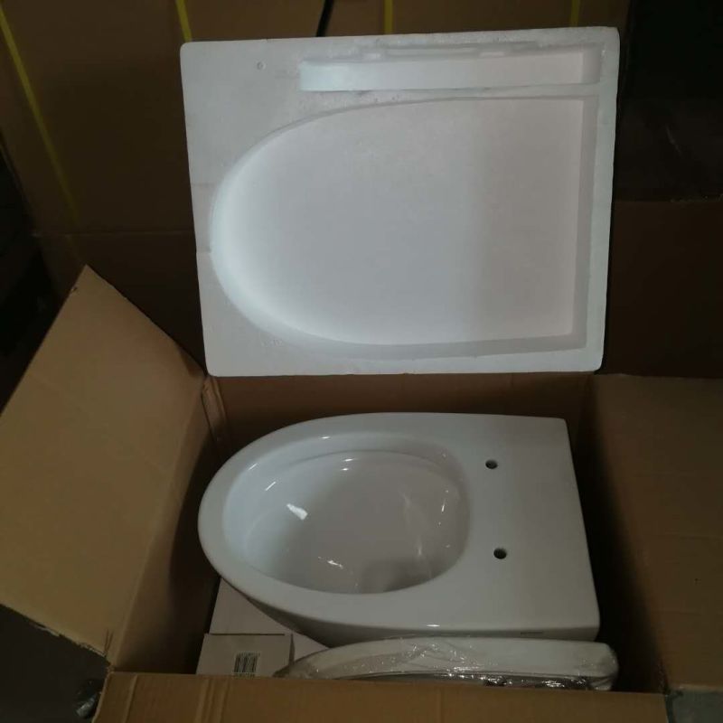 Washdown Wall-Hung Wc Toilet with UF Toilet Seat