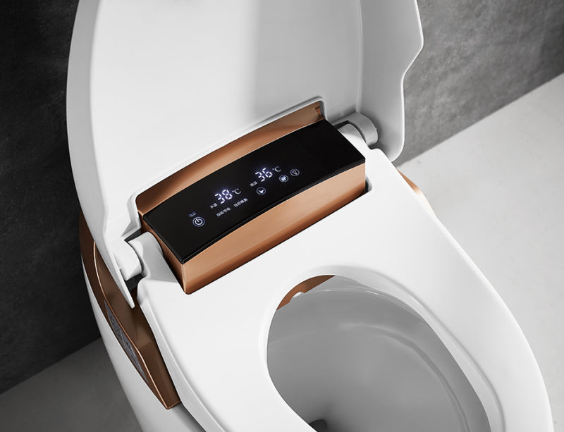 Hygienic Water Closet S-Trap Automatic Washer Intelligent Bidet Toilet