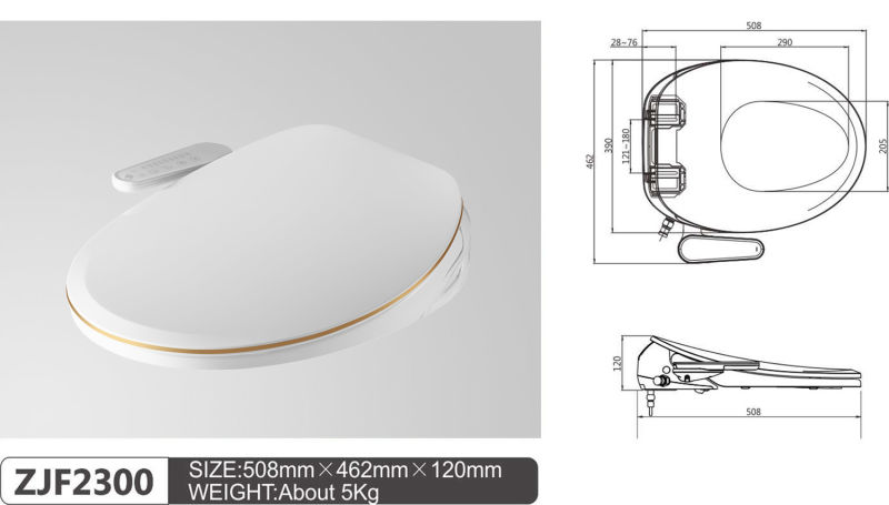 Sanitary Plastic Elongated Electric Intelligent Bidet Wc Toilet Seat