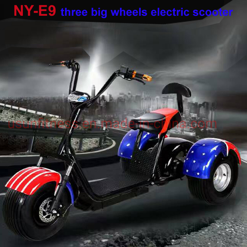 Electric Cargotrike Adult Electric Tricycles The Lithium Battery for Adult