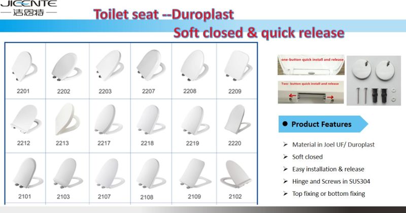 Soft Closed Quick Released Easy Install Bidet Wc