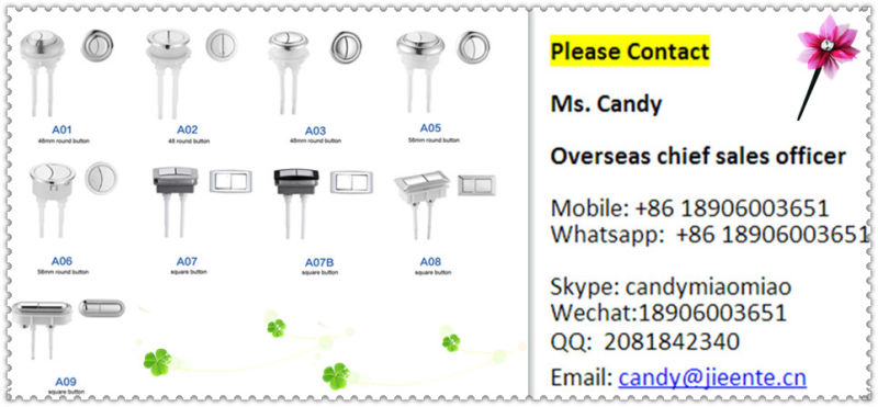 Electronic Automatic Toilet Seat