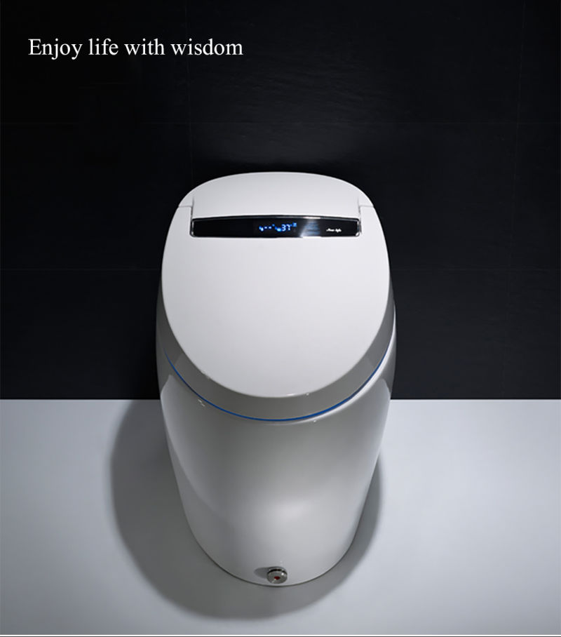 Ceramic One Piece Siphonic Flushing Intelligent Electric Automatic Smart Toilet with Bidet