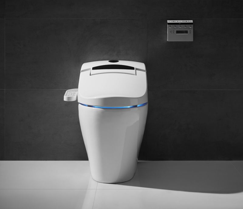 Excellent Water Closet Floor Mounted Smart Toilet with Bidet