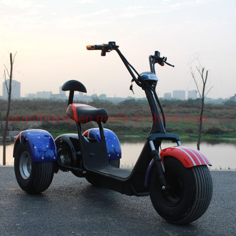 Electric Cargotrike Adult Electric Tricycles The Lithium Battery for Adult