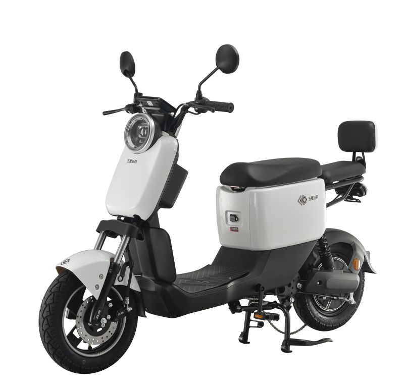 Electric Bike Can Use Lead-Acid Battery and Lithium Battery