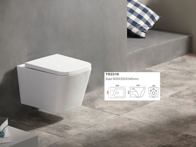 Ziax Wall Hung Wc Pan Ceramic Toilet