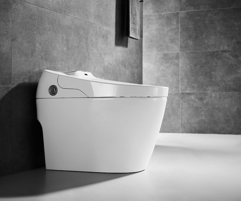 Streamlined Sanitary Ware Bathroom Ceramic Wc Rimless Smart Intelligent Toilet