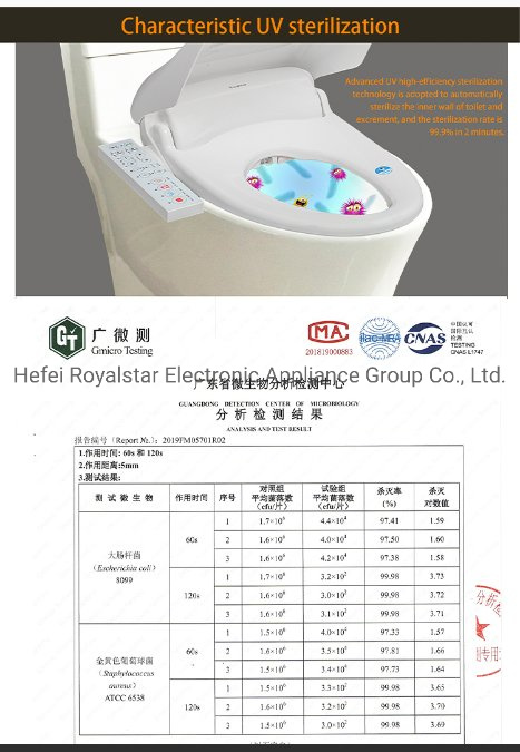 Smart Toilet Seat of High Qualityand Bidet Manufacturer China Water Toilet Seat