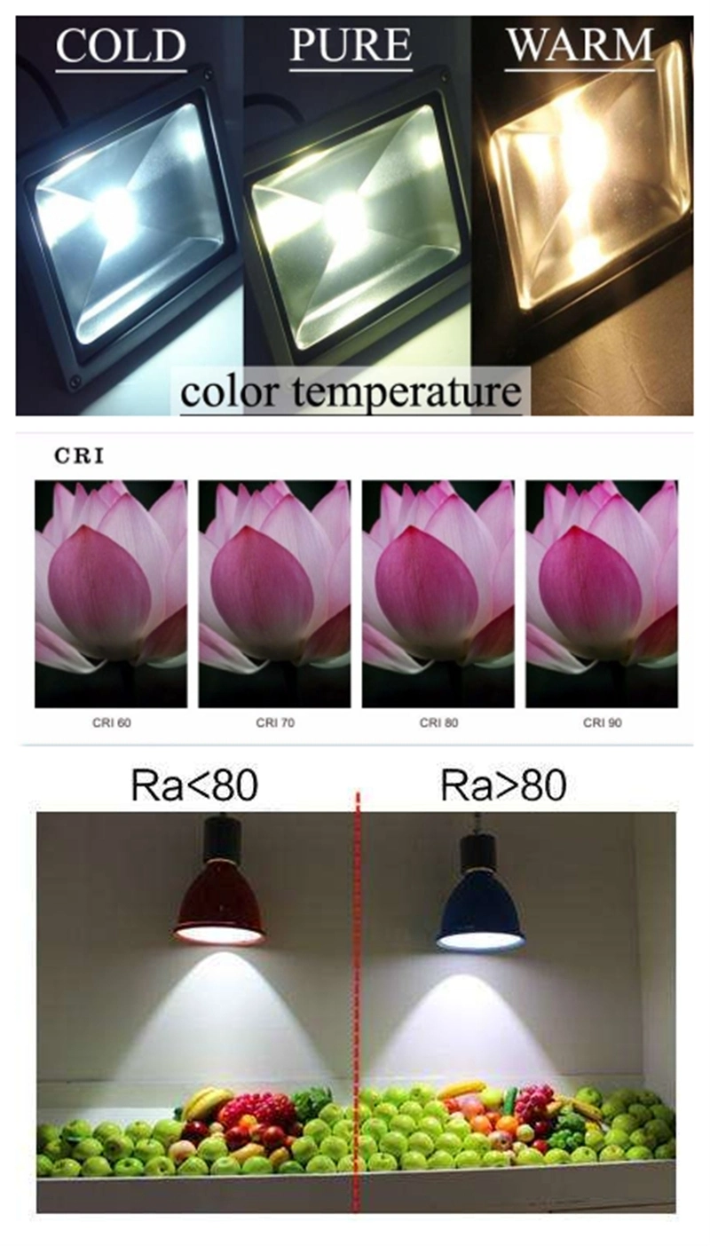 Screwless Design Indoor Wall Light Simple and Elegant Lighting Fitting