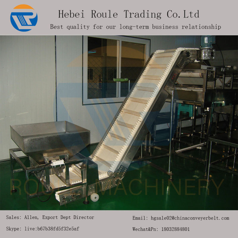 Food Grade Conveyor Belt / Mini Belt Conveyor/Manual Conveyer Belt Conveyor