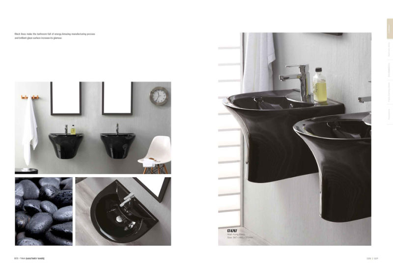 Wc Sanitary Ware The Best-Selling Round Wall Hung Basin