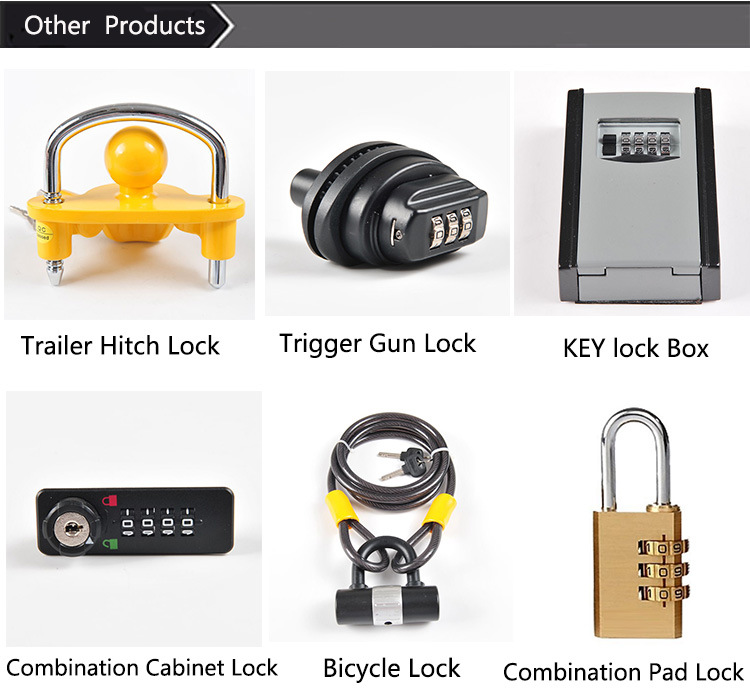 Electrical Control Cabinet Door Panel Locks with Key (MS732)