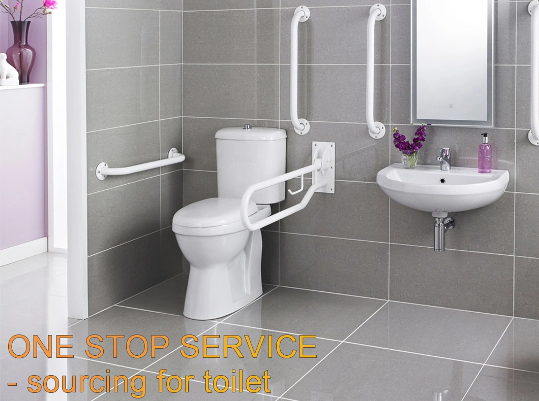 Floor Mounted White Washdown Toilet Bowl Wc White Ceramic Two Pieces Toilet Closestool