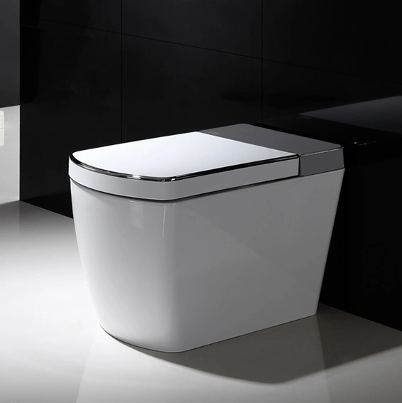 Standard Export Automatic Flush Toilet Bidet All in One Piece Smart Toliet