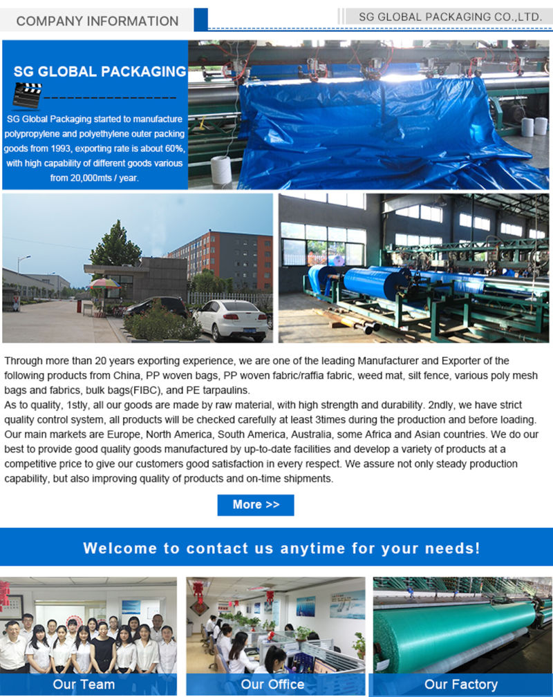 Waterproof PE Coated Roofing Cover Heavy Duty 4X6 Tarp