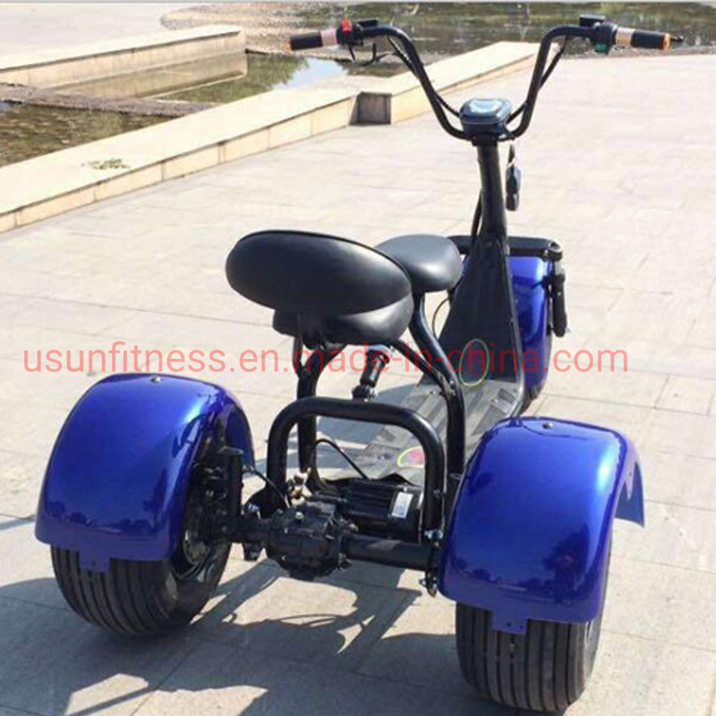 Electric Cargotrike Adult Electric Tricycles The Lithium Battery for Adult