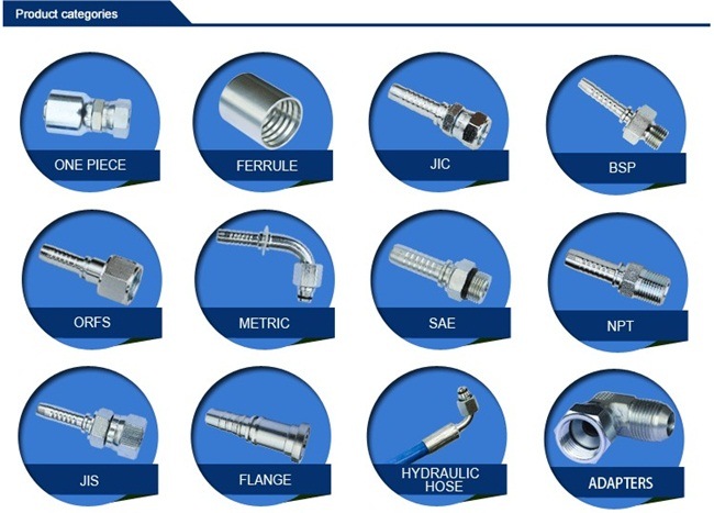 Factory Hydraulic Hose/Pipe Fitting for High Pressure Hose