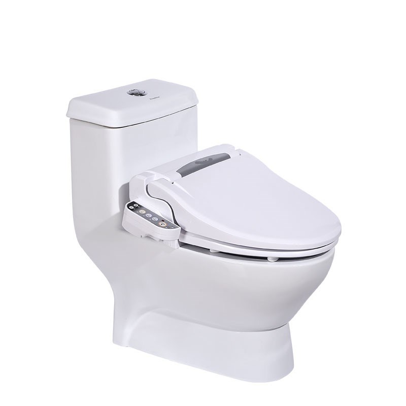 Hot Sale Cheap Electric Smart Toilet Seat Cover with Bidet Sprayer