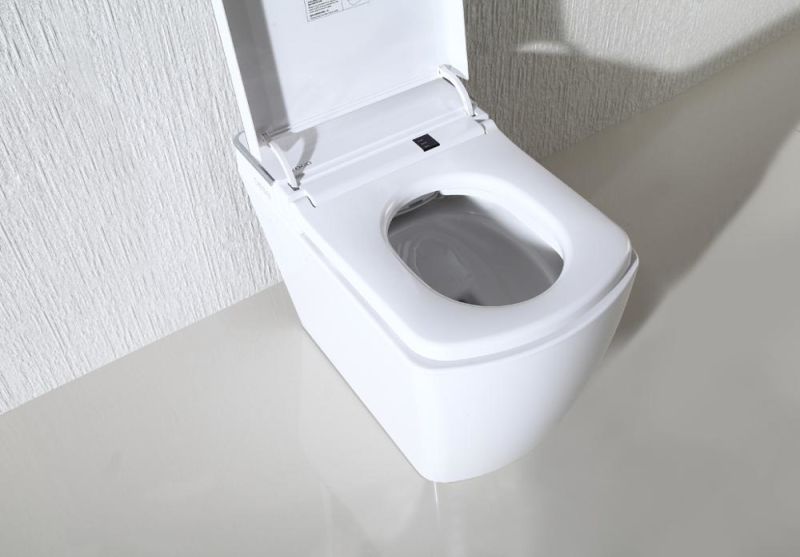 Energy Saving Luxury Electric Wc Modern Ceramic ABS Smart Toilet Intelligent Toliet