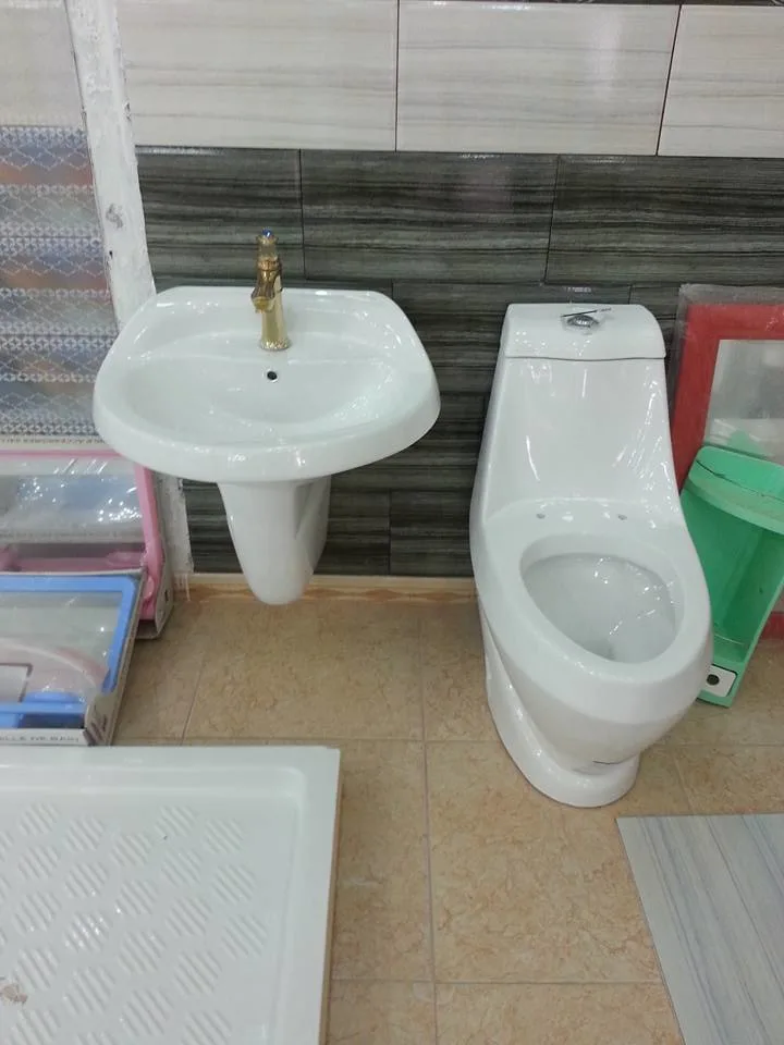 Libya Sanitary Ware Floor Mounted Installation Dual-Flush Toilet Set