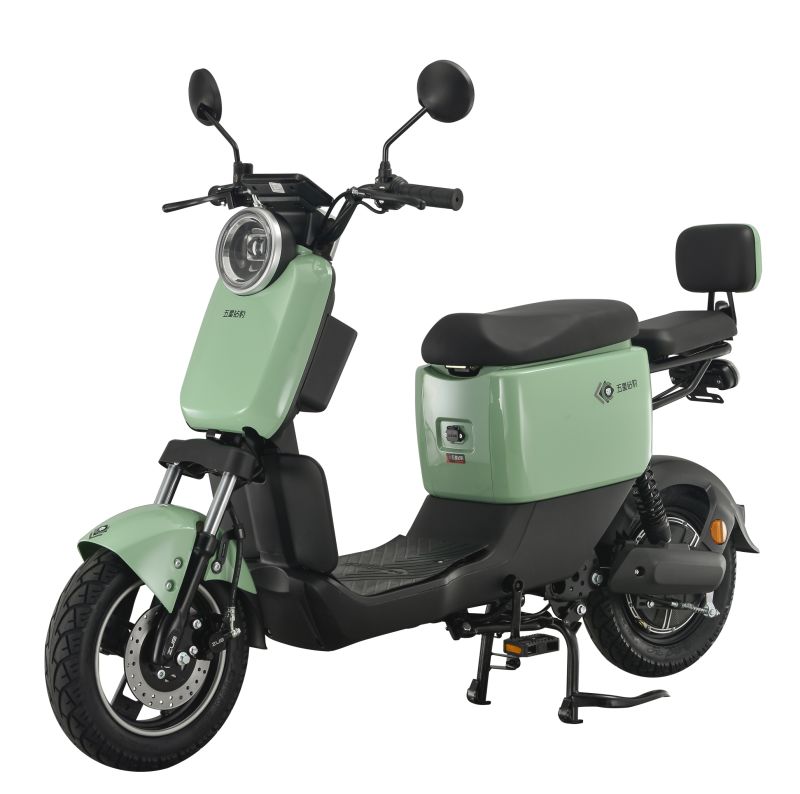 Electric Bike Can Use Lead-Acid Battery and Lithium Battery