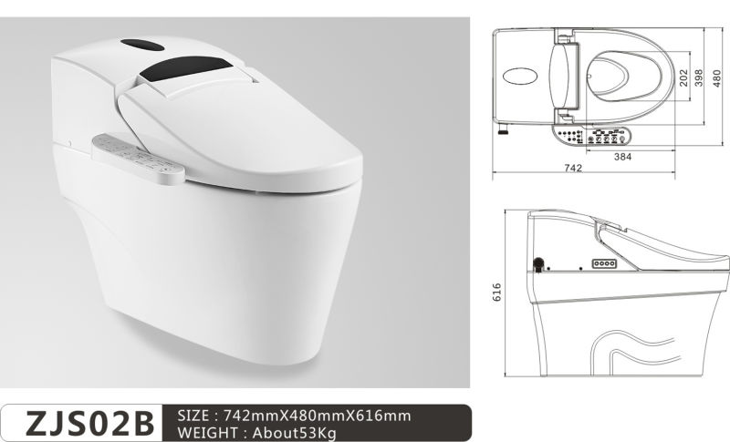 Ceramic Bathroom Twyford Automatic Massage Cleaning Wc Smart Toilet