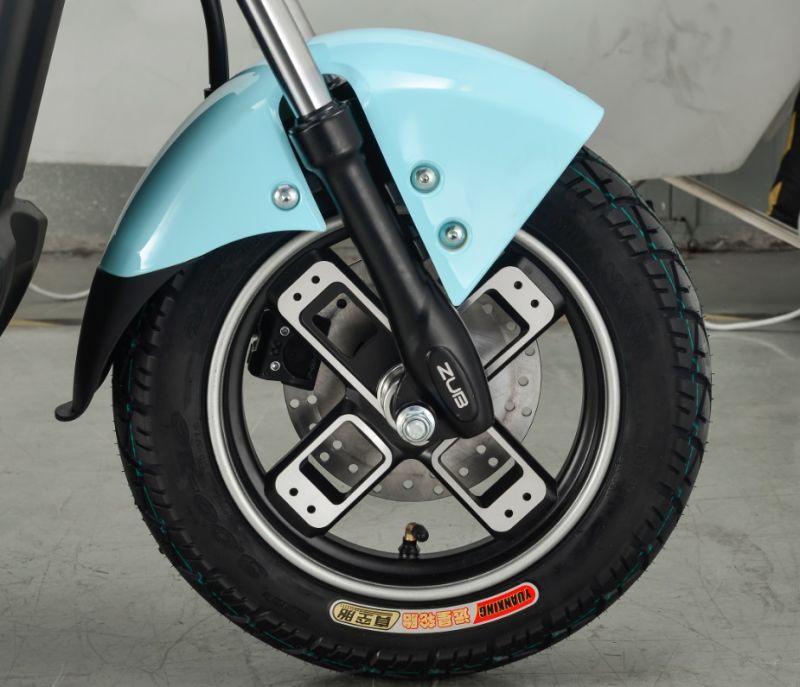 Electric Bike Can Use Lead-Acid Battery and Lithium Battery