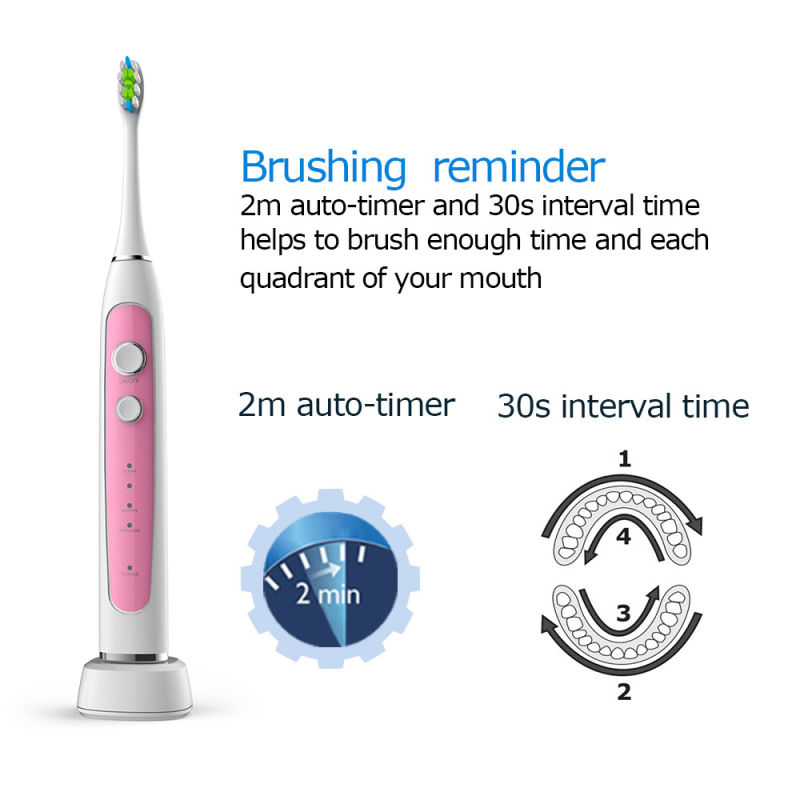 Waterproof Rechargeable Electrical Toothbrush Automatic Adult Electric Ultrasonic Toothbrush