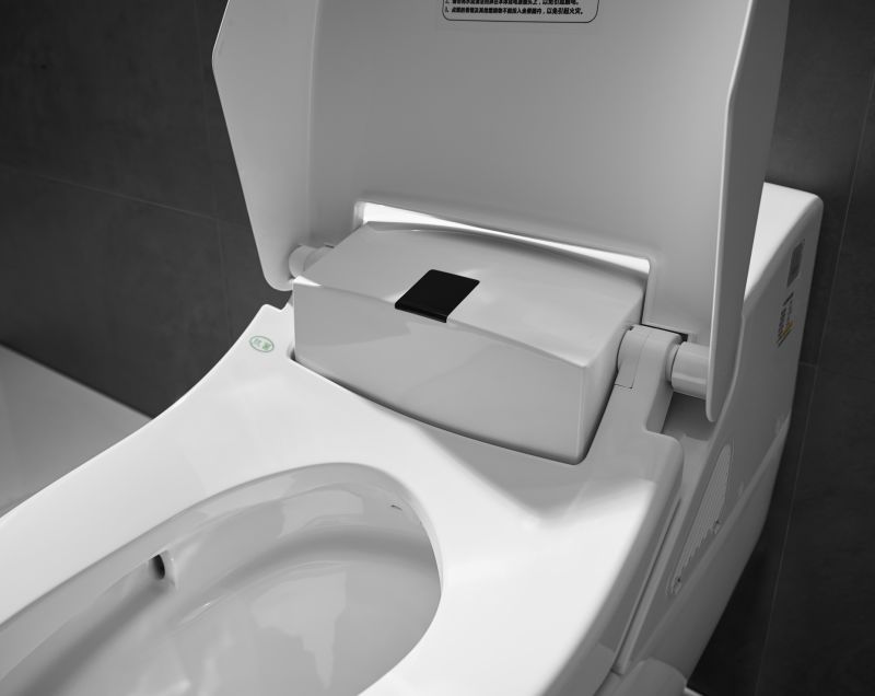 Factory Supply Bathroom Wc Automatic Induction Smart Toilet for Disabled