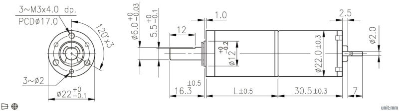 12 Volt 24 Volt 22mm Medical Application Planetary Electric DC Geared Motor for Robot