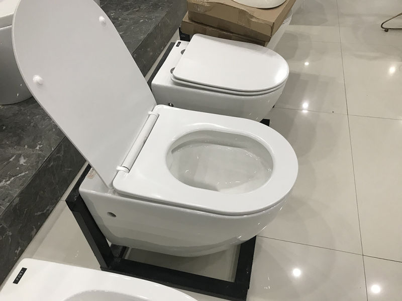 Wc Sanitary Ware Best-Selling Round Wall Hung Toilet