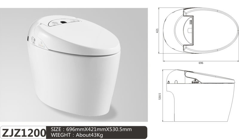 Remote Controlled Automatic Open-Close Intelligent Wc Toilet Sanitary Ware