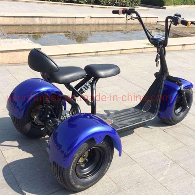 Electric Cargotrike Adult Electric Tricycles The Lithium Battery for Adult