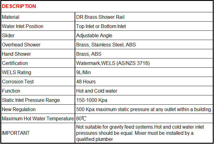 Australian Standard Brushed Brass Sanitary Ware Shower Set