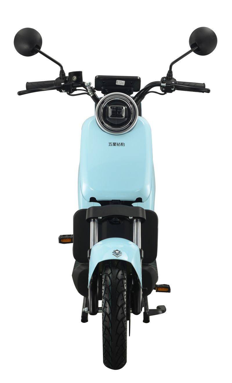 Electric Bike Can Use Lead-Acid Battery and Lithium Battery