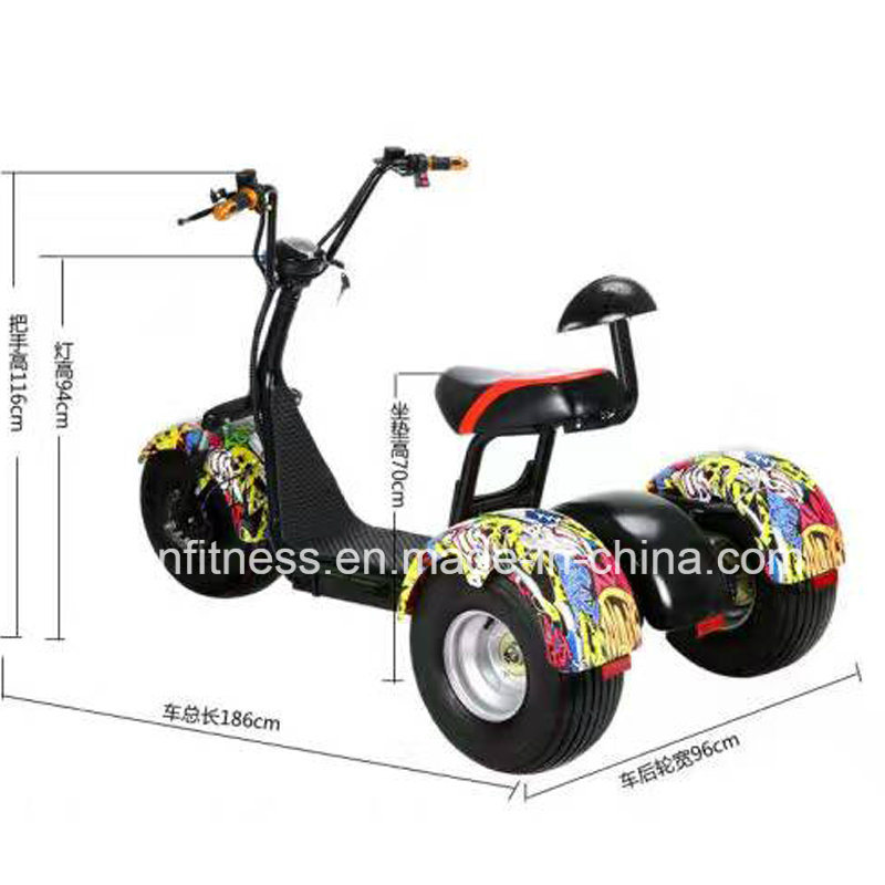 Electric Cargotrike Adult Electric Tricycles The Lithium Battery for Adult